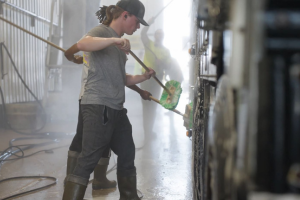 Young man washing equipment in a workplace setting, demonstrating job skills and supporting workforce development and financial stability programs.