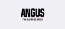 American Angus Association